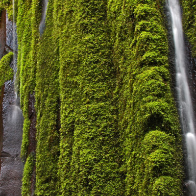 Columnar Falls can be found along the Dread and Terror segment of the Umpqua River Trail in southern Oregon.