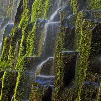 A close-up of Lower Proxy Falls in the Oregon Cascades.